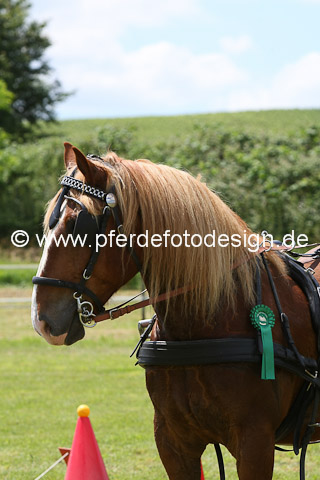 FI125083