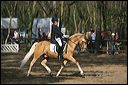 gon09_img_0887
