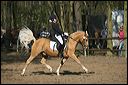 gon09_img_0889