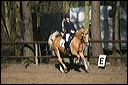 gon09_img_0897