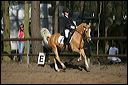 gon09_img_0898