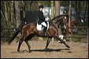 gon09_img_0909