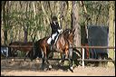 gon09_img_0916