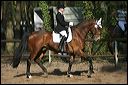 gon09_img_0930