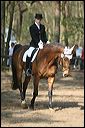 gon09_img_0942