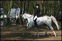 gon09_img_0944