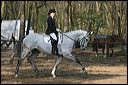 gon09_img_0980