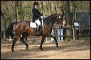 gon09_img_1097