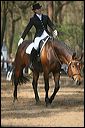 gon09_img_1108