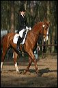 gon09_img_1110