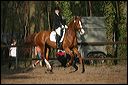 gon09_img_1126