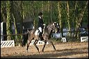 gon09_img_1131