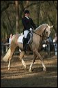 gon09_img_1148