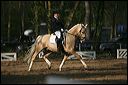 gon09_img_1149
