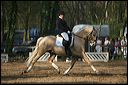 gon09_img_1150