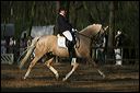 gon09_img_1151
