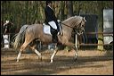 gon09_img_1153