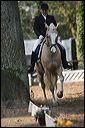 gon09_img_1157