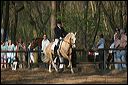 gon09_img_1158