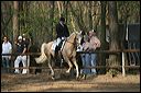gon09_img_1159