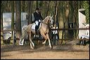 gon09_img_1162