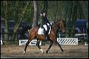 gon09_img_1168