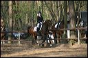 gon09_img_1178
