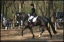 gon09_img_1184