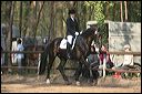 gon09_img_1186