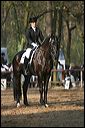 gon09_img_1189