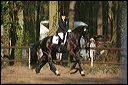 gon09_img_1198