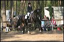 gon09_img_1203