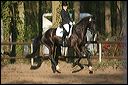 gon09_img_1205