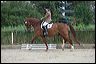 la113796