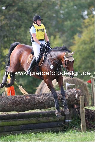 imgl2010.jpg