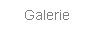 Galerie